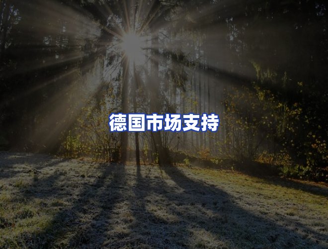 服务优势